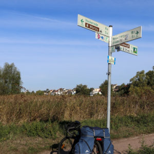 Many known cycle path goes through here.
Near river Elbe (Coswig)